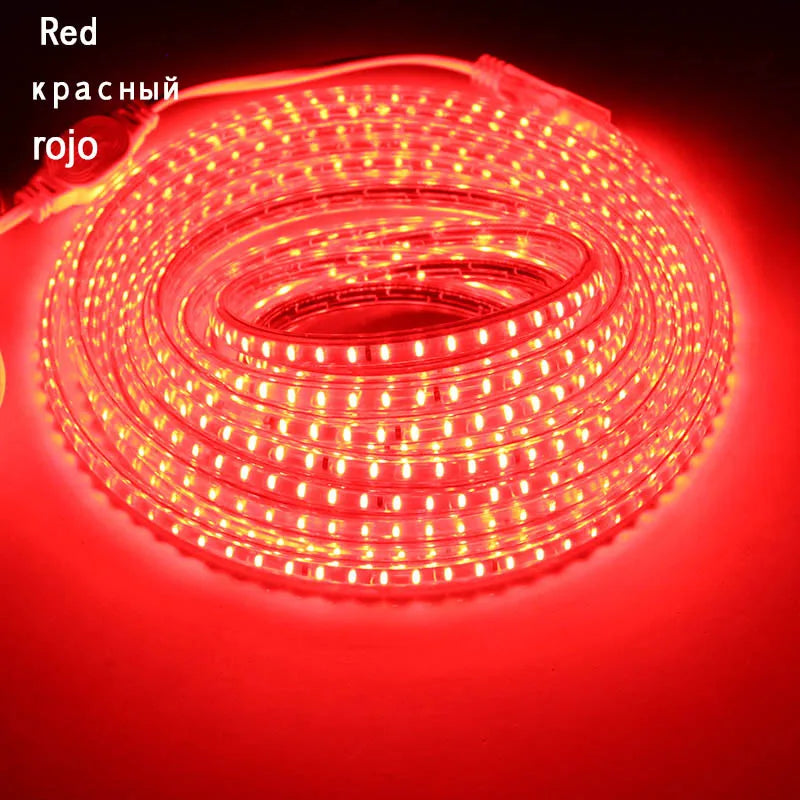 Led strip 220V 108led/M led tape IP67 Waterproof LED Light Strip with EU Plug Outdoor SMD3014 led Ribbon 30m 50m 100m warm white