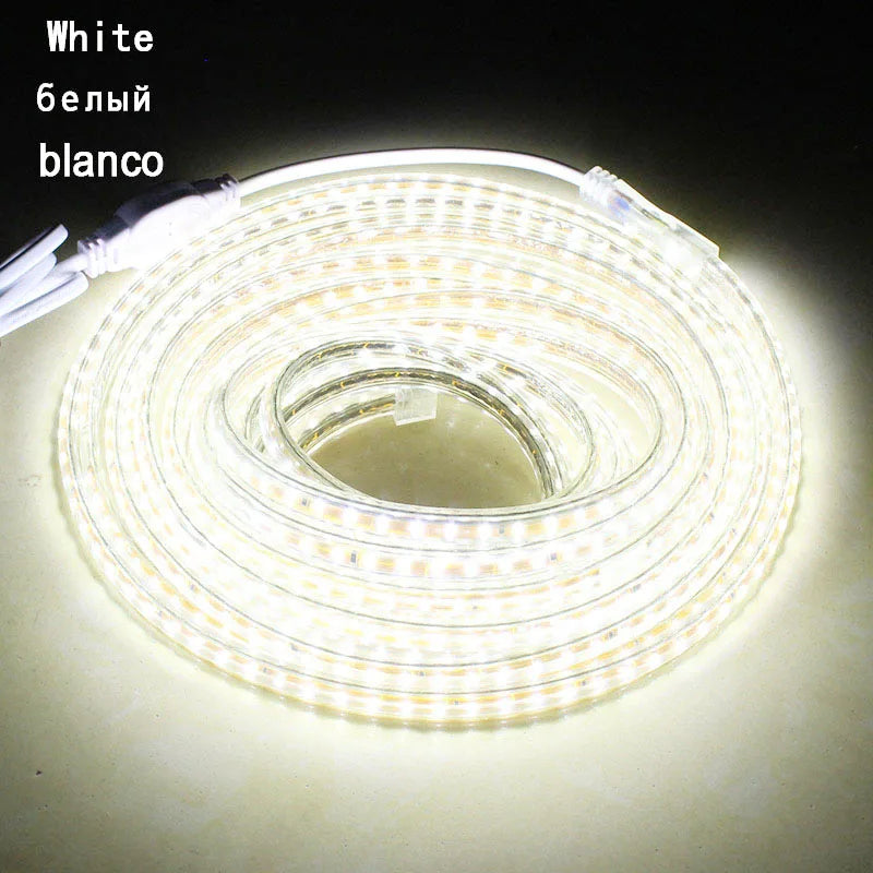Led strip 220V 108led/M led tape IP67 Waterproof LED Light Strip with EU Plug Outdoor SMD3014 led Ribbon 30m 50m 100m warm white