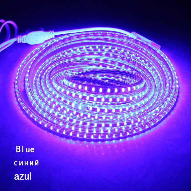 Led strip 220V 108led/M led tape IP67 Waterproof LED Light Strip with EU Plug Outdoor SMD3014 led Ribbon 30m 50m 100m warm white