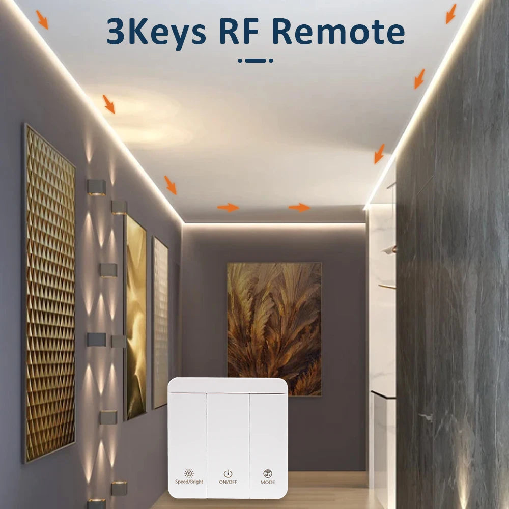 5M 10M 15M 20M Running Water Flowing LED Strip Light DC 24V WS2811 SMD2835 Horse Race Pixel Addressable Flexible Linear Lamp Set